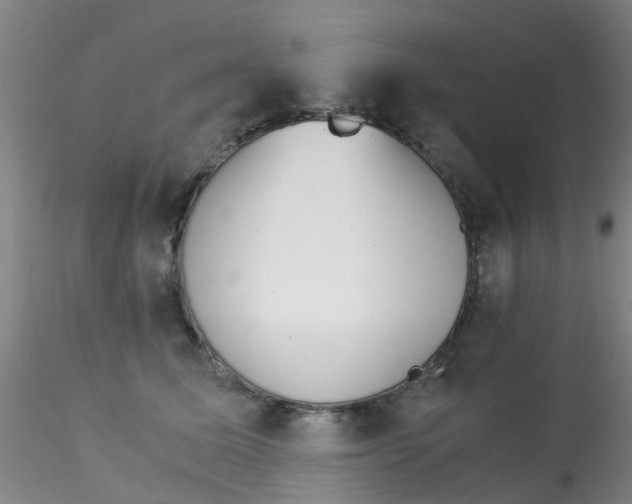 X0000115210611200911251509