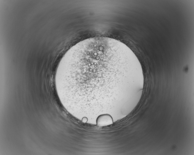 X0000115210613200911251509