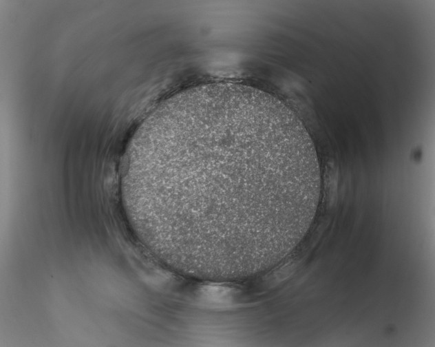 X0000115210614200911251509