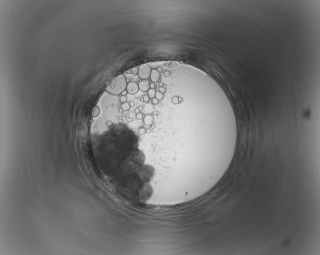 X0000115210617200911251509