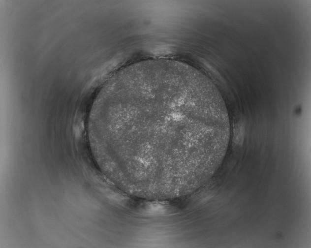 X0000115210618200911251509