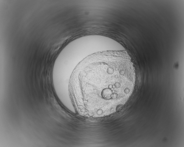 X0000115210620200911251509