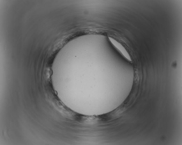 X0000115210621200911251509