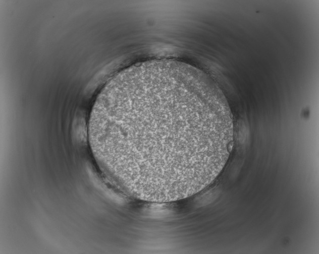 X0000115210622200911251509