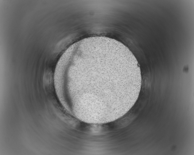 X0000115210623200911251509