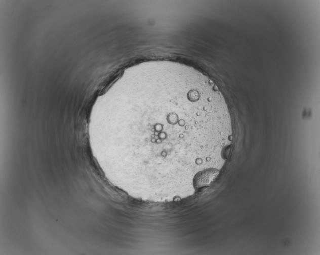 X0000115210624200911251509