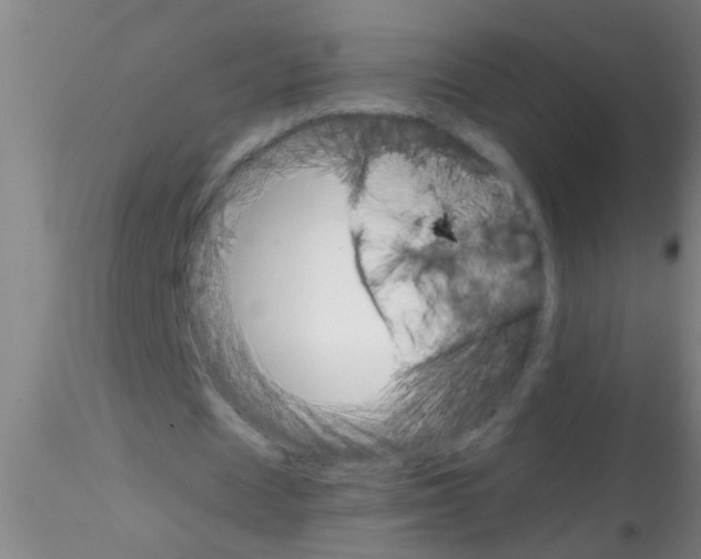 X0000115210625200911251508