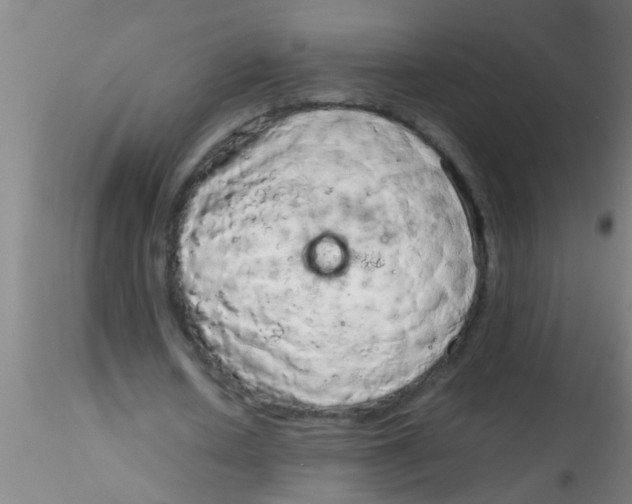 X0000115210626200911251508