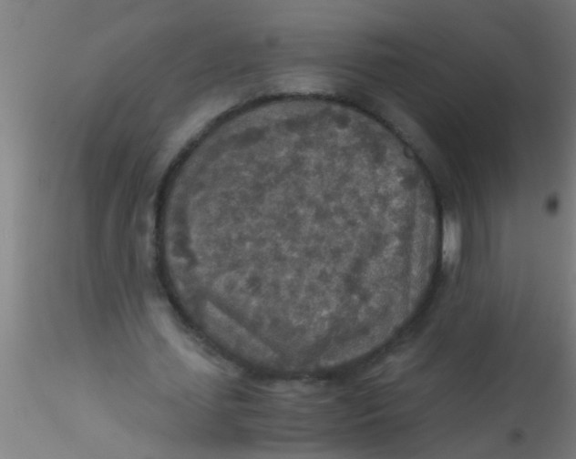 X0000115210627200911251508