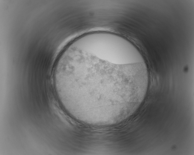 X0000115210628200911251508