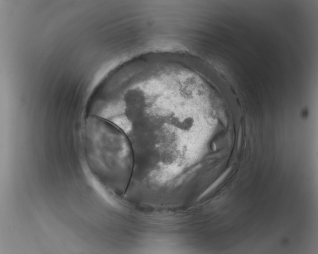 X0000115210630200911251508