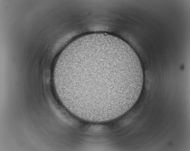 X0000115210631200911251508