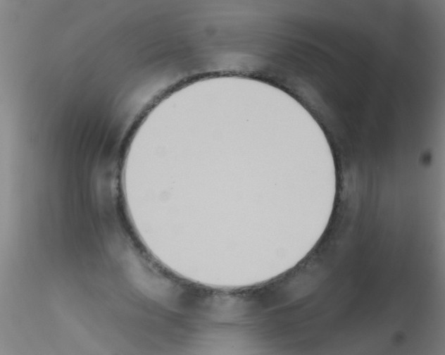 X0000115210632200911251508