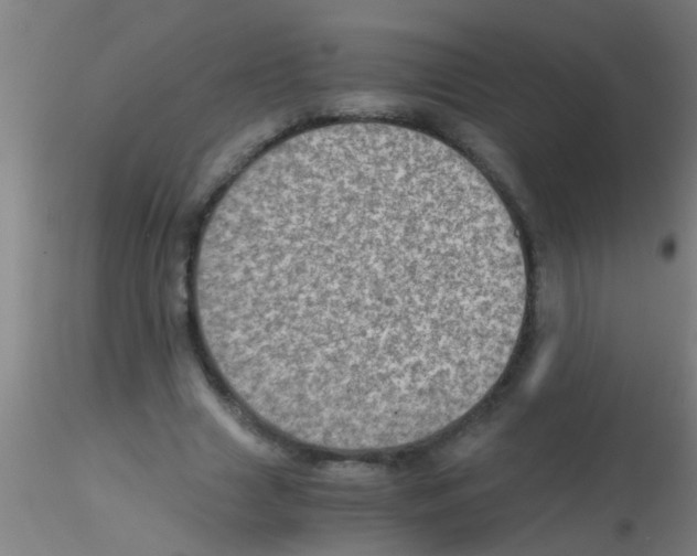 X0000115210633200911251508