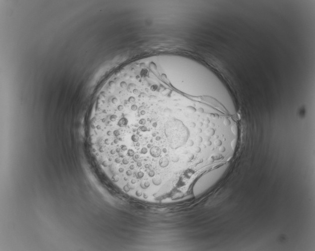 X0000115210634200911251508