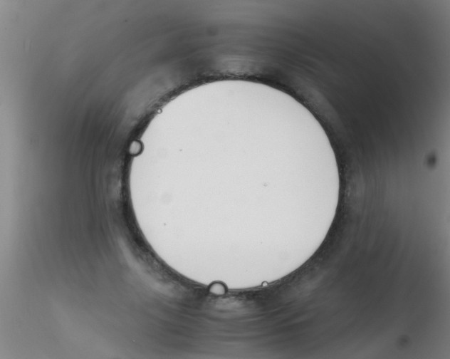 X0000115210635200911251508