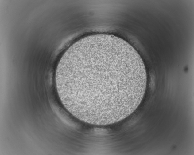 X0000115210636200911251508