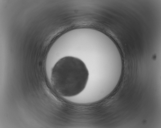 X0000115210637200911251508