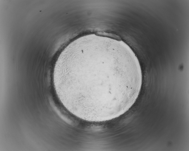 X0000115210638200911251508