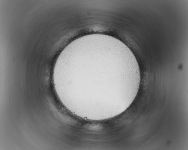 X0000115210639200911251508