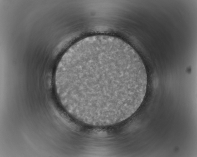 X0000115210640200911251508