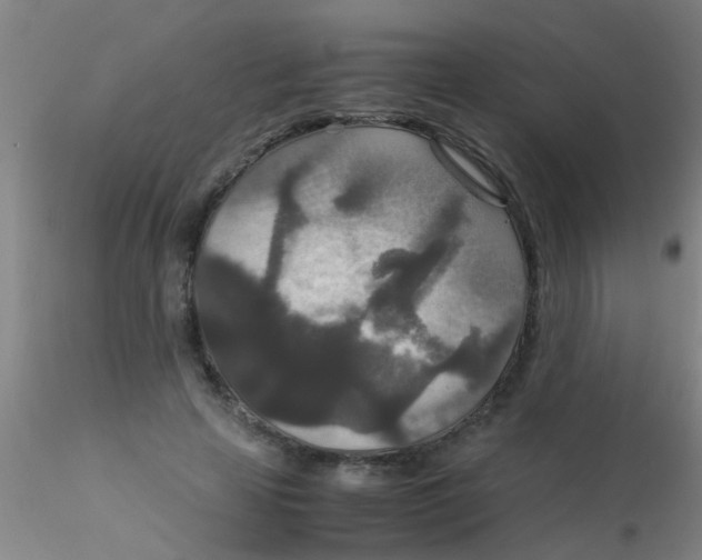 X0000115210641200911251508