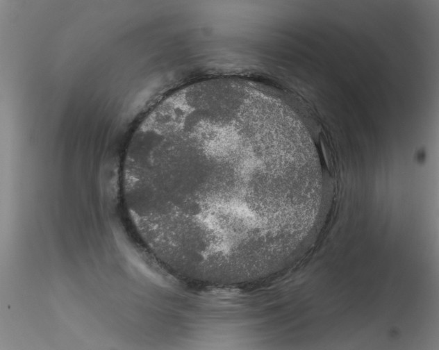 X0000115210642200911251508