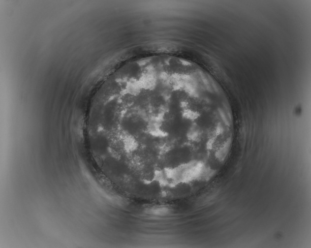 X0000115210643200911251508