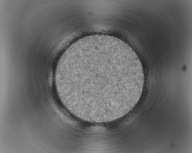 X0000115210644200911251508