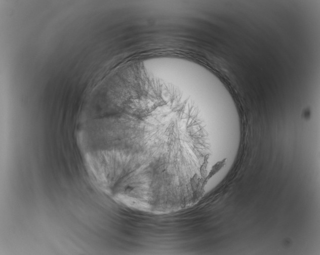 X0000115210645200911251508