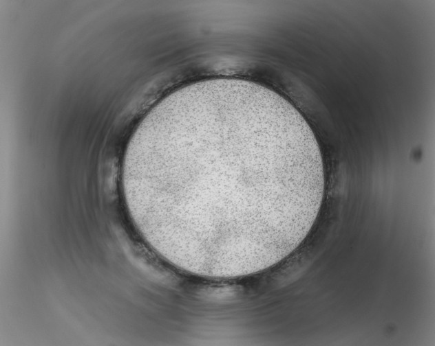 X0000115210646200911251509