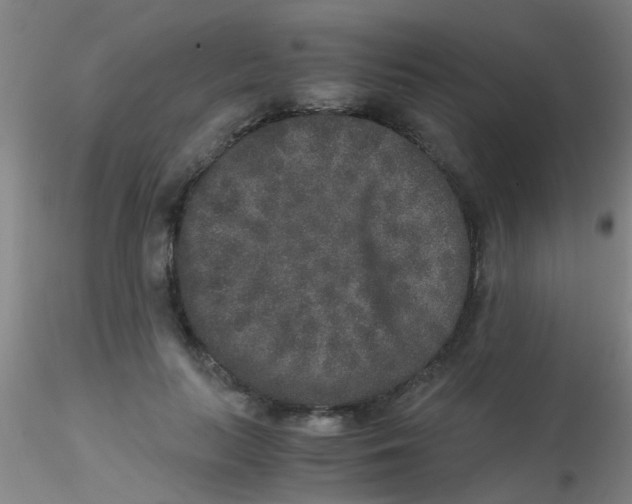 X0000115210647200911251509