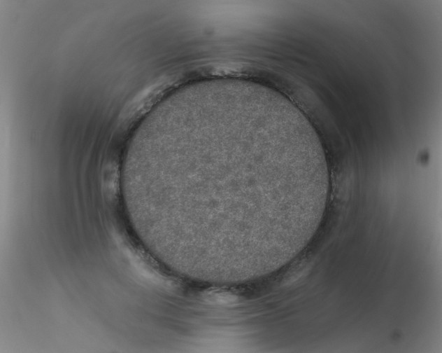 X0000115210648200911251509