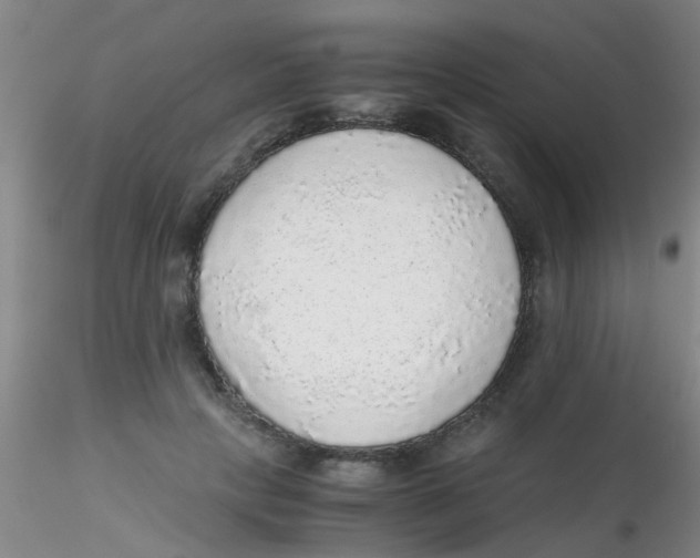 X0000115210649200911251509