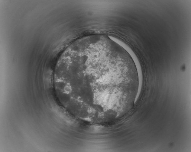 X0000115210650200911251509