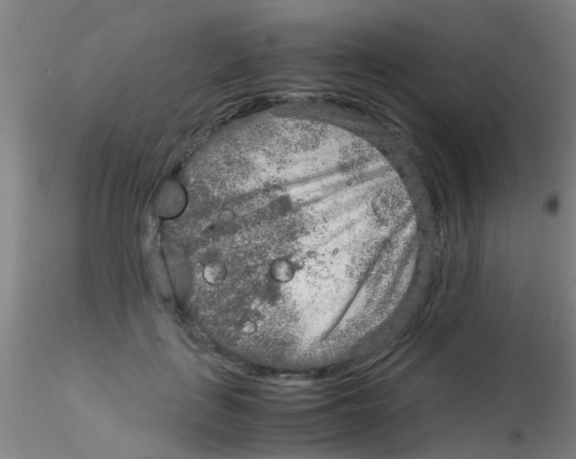 X0000115210651200911251509