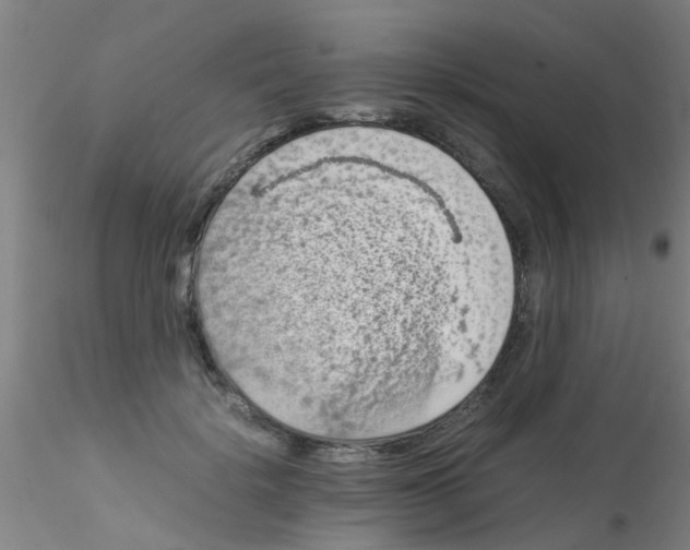 X0000115210652200911251509