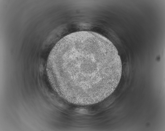 X0000115210655200911251509