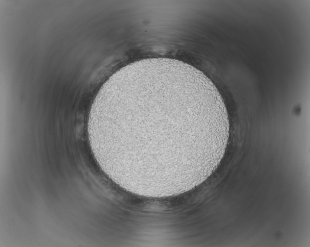 X0000115210656200911251509