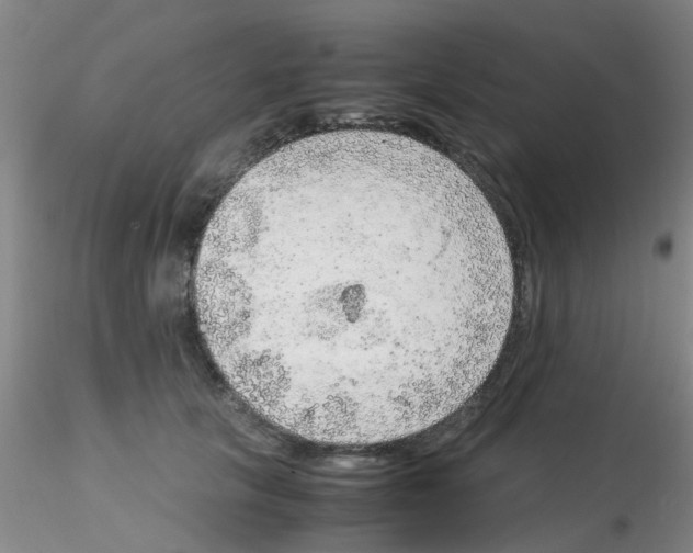 X0000115210657200911251509