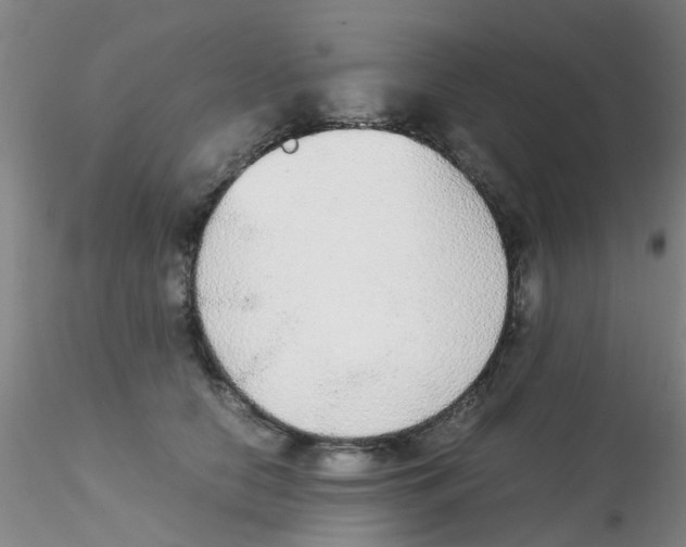 X0000115210658200911251509