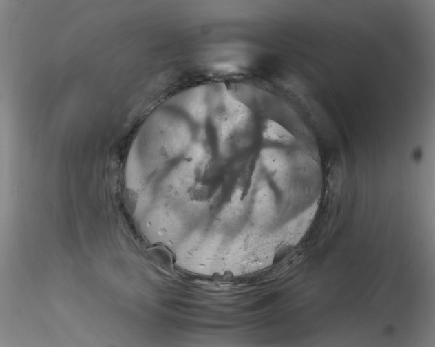 X0000115210659200911251509