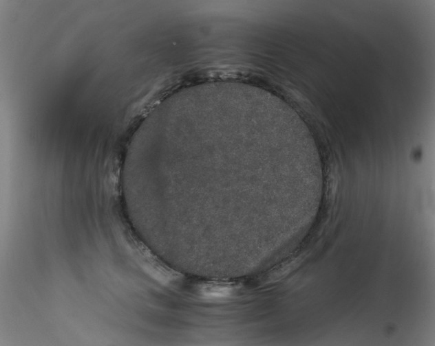 X0000115210661200911251509