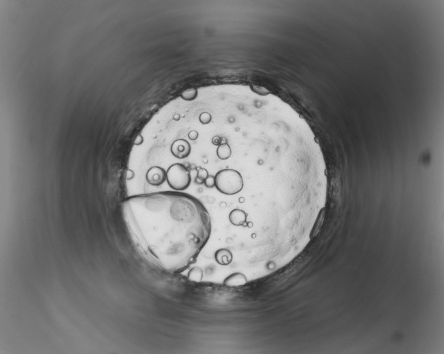 X0000115210662200911251509