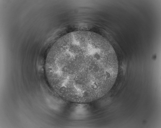 X0000115210663200911251509