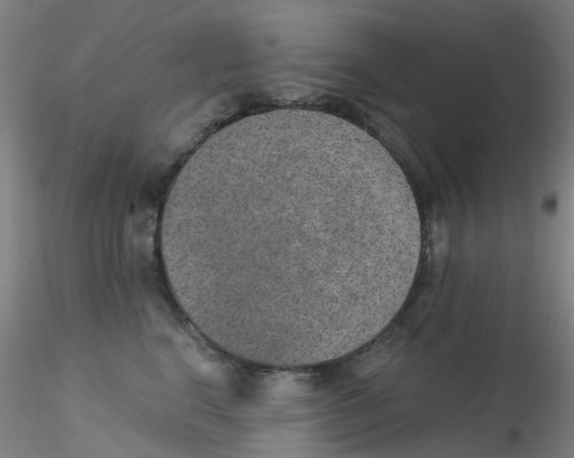 X0000115210664200911251509