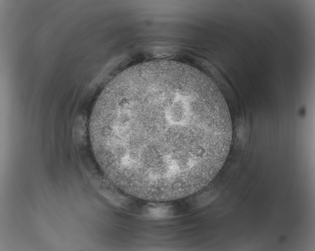 X0000115210667200911251509