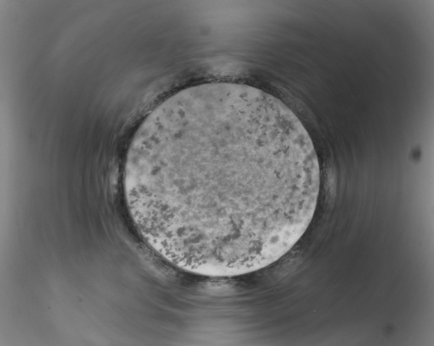 X0000115210668200911251509