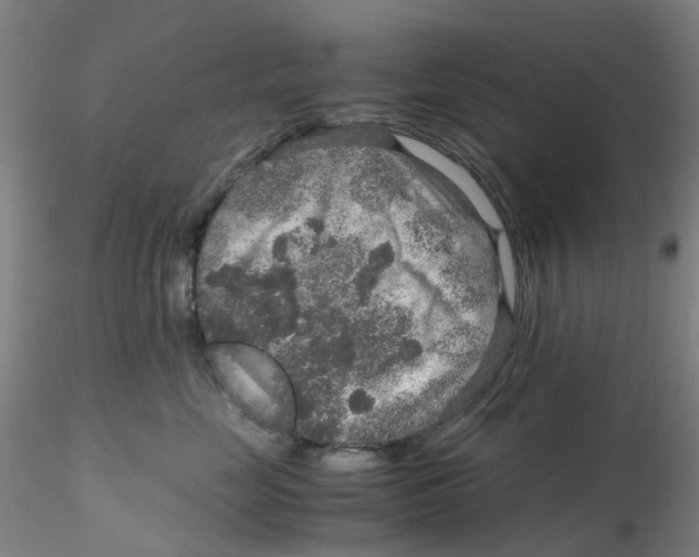 X0000115210669200911251509