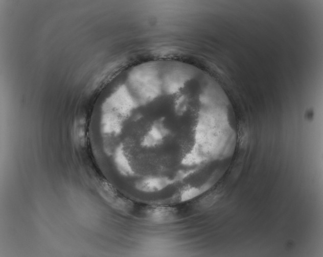 X0000115210670200911251509